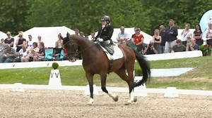 11K views · 2.6K reactions | Let's raise a glass for Stinna Tange!  The legendary Danish FEI Para-Dressage star is a hero of the sport, a true horsewoman and an iconic inspiration... but now it's time for her new adventure. ❤️ Stinna, you may be retiring but we'll always celebrate your greatest moments and we wish you all the best! Happy retirement! 壟 Relive Stinna's incredible story and successes in Equestrian World!  | Fédération Equestre Internationale | Facebook