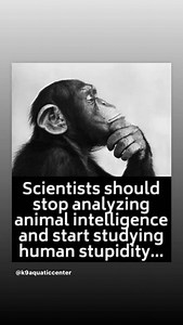 22 reactions | Miki Howard on Reels | Facebook