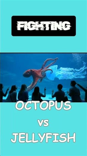 OCTOPPUS vs JELLYFISH