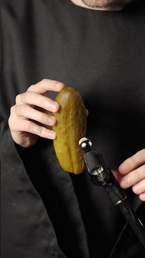 World's First Singing Pickle!