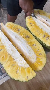 langka/jackfruit 🌳🌳🌳🌳 | Anastacia Fruit Bearing Trees