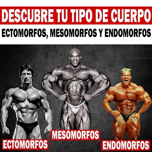 "Descubre la guía definitiva sobre los tipos de cuerpo masculino: ectomorfos, mesomorfos y endomorfos. Aprende a identificar tu tipo de cuerpo y cómo adaptar tu entrenamiento y nutrición para alcanzar tus metas fitness de manera eficaz. Ya sea que busques aumentar la masa muscular, perder peso o mejorar tu salud en general, entender tu tipo de cuerpo es el primer paso hacia el éxito en tu viaje de acondicionamiento físico."💪 | Sangredespartano