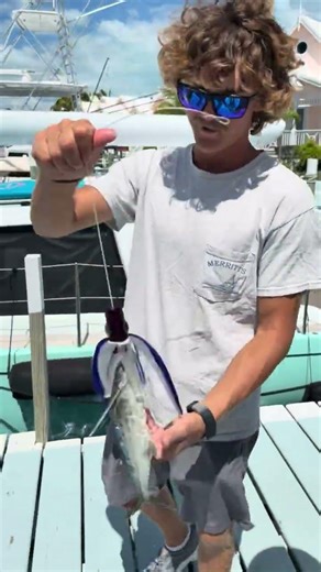 Preping For The Sea Spray Marlin Classic!