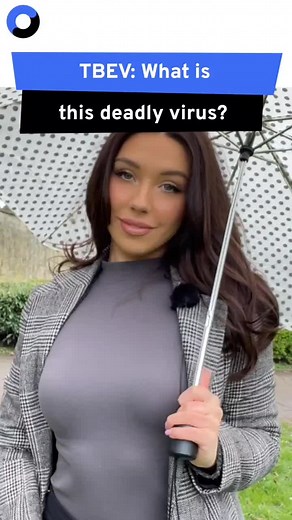 The first human case of a potentially deadly infection borne by ticks has been confirmed in the UK. Doctors say the first domestically acquired case of tick borne encephalitis virus or TB has been identied by a man bitten by ticks in the Yorkshire area - here is what you need to know... #uknews #yorkshire #explainer #explainervideo #explained #health #science #healthnews #sciencenews #virus