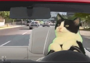 37K views · 938 reactions | When you're alone and life is making you...