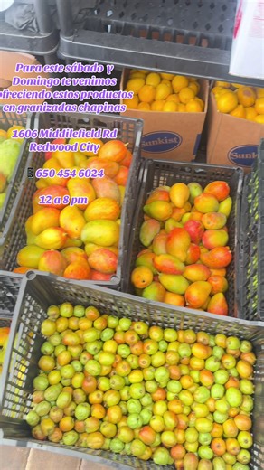 Delicious Guatemalan Shaved Ice in Redwood City