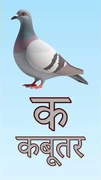 Hindi Vyanjan | हिंदी व्यंजन (क–ज्ञ) | Learn Hindi Consonants for Kids