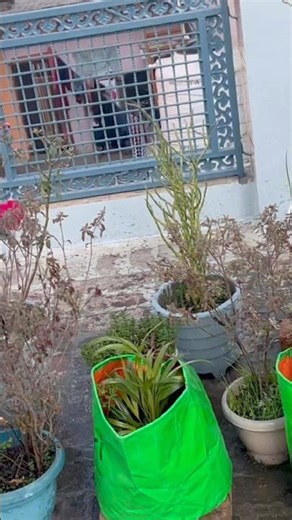 minivlog#delhi#markit #pahadi#