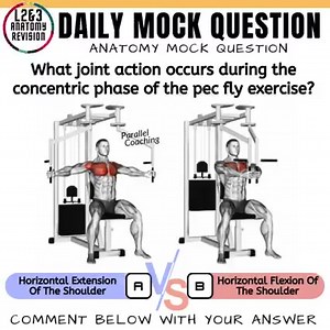 What joint action occurs during the concentric phase of the pec fly exercise? A. Horizontal Extension Of The Shoulder VS B.Horizontal Flexion Of The Shoulder Use this blog to help answer today's Fitness Exam Mock Question >>> 9 Movements That Occur At The Shoulder Joint https://parallelcoaching.co.uk/9-movements-that-occur-at-the-shoulder-joint Drop your answer in the comments below 👇 You can join our inner circle and download tons of FREE MOCK Questions here >>> https://join.parallelcoaching.c