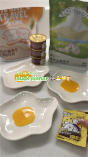 on today’s menu 📋 duck and goat’s milk bread 🦆🍞🤎 @MOTA PET @World Market — #feedmycats #catasmr #catsoftiktok #cateatingasmr #petsoftiktok