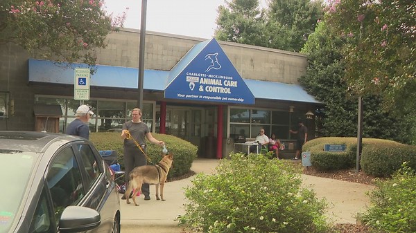 Pet adoption tryouts offered by CMPD Animal Care & Control