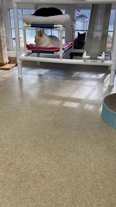 2.9K views · 333 reactions | Though he is still shy with us, Luca...