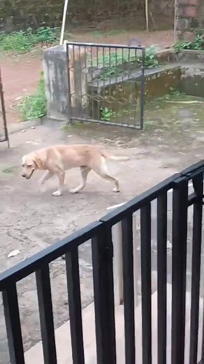 2.8K views · 1.4K reactions | #Update Adopted ********** കണ്ണൂർ...