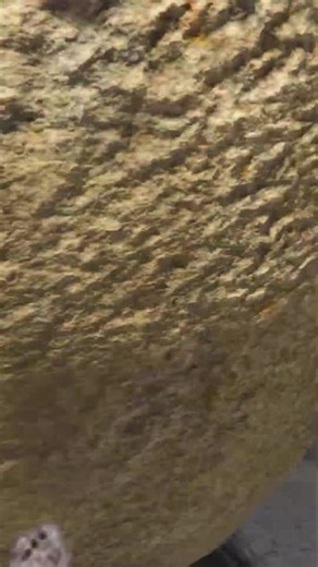 TEAM SUPER HERO VS TEAM ZOMBIE IRONMAN BATTLE MATCH WHO IS STRONGER 💪 #272 #shorts | Amit Gaming