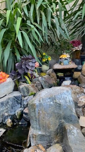 Inside the Outdoor Aviary #paradiseparkaviary #aviarybirds #aviary #birds #finches #canaries #birdlovers #paradise #birdsparadise #reels #instareels #instagram #instagood #youtube #youtuber #fyp #fresno #559 #fish #pond #fishpond #koi #koipond #birdaviary | paradiseparkaviary