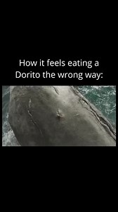 Danny Watson on Reels