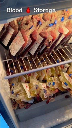 Storage Of Blood 🩸 #shortvideos #viral #lablife