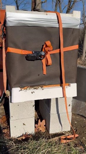 Winter beekeeping! First year overwintering bees for this HI beekeeper 😬 #beekeeping