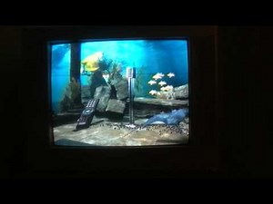 Cleaning vcr with a vhs head cleaner