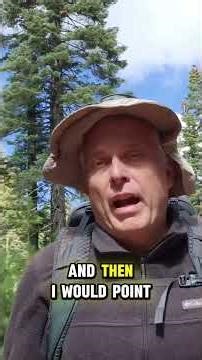 Weird Sounds Deep in the Forest #scary #horror #forestencounters