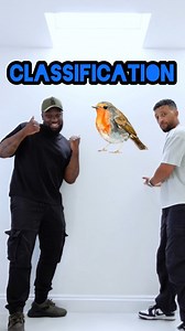 1.1M views · 11K reactions | I've teamed up with @axelblake for today's class! This is classification explained  #classification #latinbinomials #humans #homosapien #humanbeings #animalkingdom #rappingteacher #exams #revision #gcse #stem #school #science #combinedsciencegcse #biology | Matt Green | Facebook