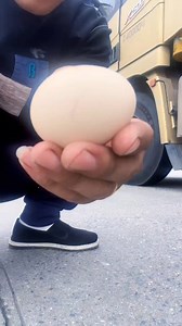 11K views · 232 reactions | This video may display the most...