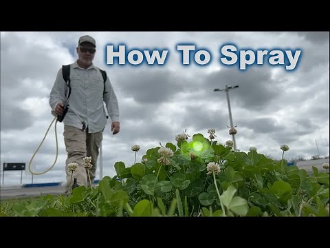 How To Spray Weed Killer with RESULTS