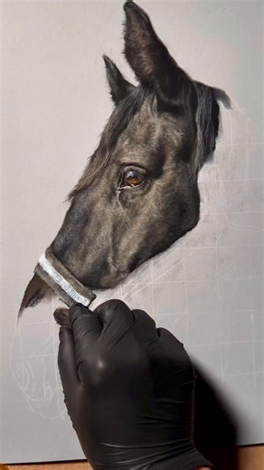 Process of drawing a lovely horse named Jasper 🥰 | Hanna Asfour Fine Art