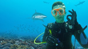 Eric taucht mit Haien