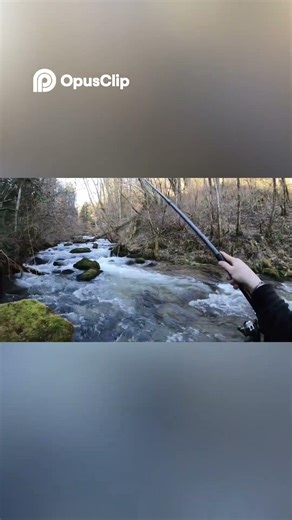 Pêche incroyable les poissons sont PARTOUT ! 🎣