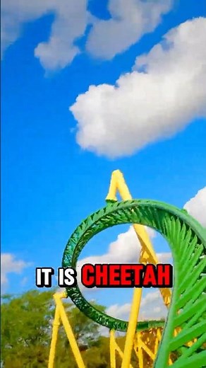 Top 5 FASTEST Rides at Busch Gardens