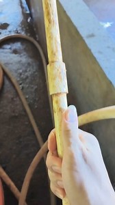 9.9K reactions · 26 shares | Baby mouse bonk bonk bonk bonk... | Damao Blg | Facebook