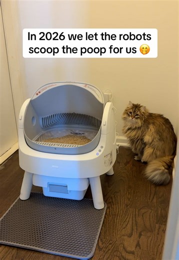 Upgrade your cat care routine with this open-top self-cleaning litter box designed for automatic scooping and odor control. The smart waste disposal system separates clumps into a sealed compartment for a cleaner, fresher home. Perfect for busy cat owners who want low-maintenance litter management. #catsoftiktok #cattok #petpivot #litterbox #catparent