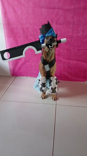 Cosplay Zabuza Momochi from Anime Naruto