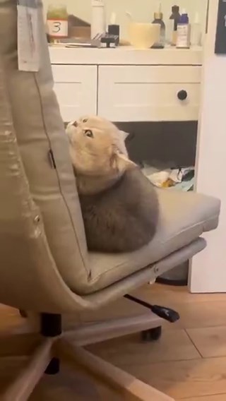 Post by Frans Cahya Arsadana on X: #唐山 唐山个人