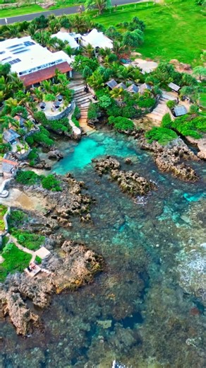 This Beach Club is insane !!! 2026 Must visit 🇻🇺✨