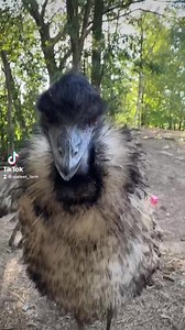 57K views · 537 reactions | Corporate would like you to find the difference between these two pictures. | Useless Farm | Facebook