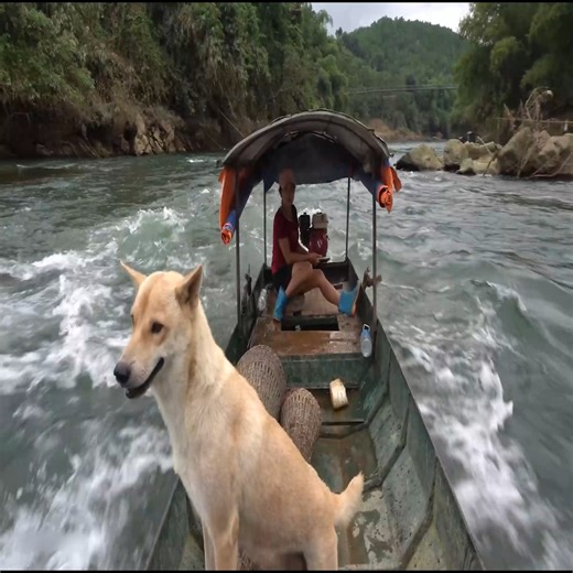 6.4K views · 84 reactions | How to trap stream fish, catfish and catch a lot of fish with a fishing cage | Master Vid | Facebook