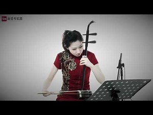 二胡曲 江南春色 刘宇演奏 新爱琴乐器 Chinese musical instruments erhu