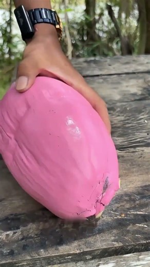 Don't break such coconuts.😱