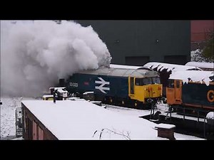 50033 'GLORIOUS' Class 50 Cold Start