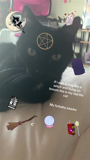 −⃝⃤Loona.wolf−⃝⃤ (@loona.wolf09)’s videos with original sound - Wick🌸ᛉ - user79078176642