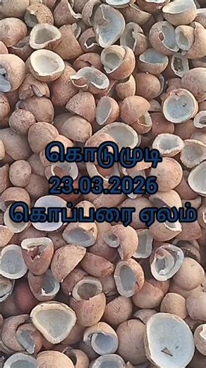 கொடுமுடி கொப்பரை ஏலம்#shorts