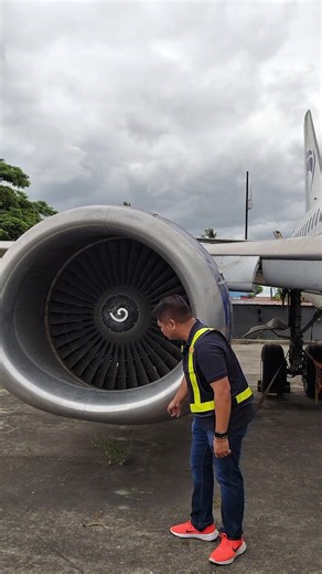 Why do Boeing 737s have flat-bottom engines? #aviation #boeing737 #aircraft #aviation #mondortiz #fbreels #igreels # | Mond Ortiz