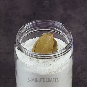 170K views · 47 reactions | How to get rid of pantry pests: | Parentips | Facebook