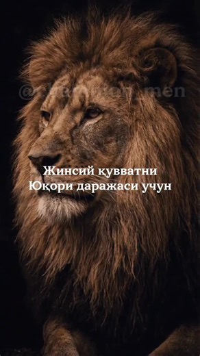 CHAMPION MEN | ПОТЕНЦИЯ ВА ОРГАЗМ СИРЛАРИ on Instagram: "💪Эркак кишини жинсий қуввати кучли бўлиши учун... - Қовоқ уруғи: цинк туфайли Тестостерон ошади✅ - Ёнғоқлар: Аргинин сабабли Эрекция кучли бўлади✅ - Тарвуз: Цитруллин сабабли эффекти Эрекция учун...✅ - Анор соки: Антиоксидан+Оксид азоти сабабли Эрекция кучли ва узоқ бўлади... ✅ - Туҳум сариғи: Витамин D туфайли Тестостерон базаси...✅ ************************ Қўшимчасига 👇👇👇 - Контраст душ 🔥 - Приседание машқи 🍆 - Кегель машқи 🍆👍💪