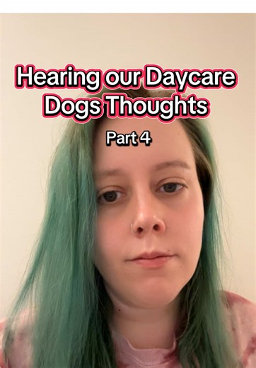 Just because you’re a German shepherd doesn’t mean you are a cop Axel…. #dogthoughts #doggydaycare #funnyaudio #voiceover #funnydogs (Audio: @roflgator , @Fox )