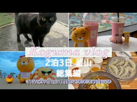 【釜山vlog 総集編】初めての釜山旅行におすすめのコース