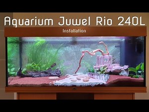 Installation aquarium Juwel Rio 240L
