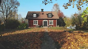 8.7K views · 632 reactions |  T H E B I G D A Y!  Today's the day My Swedish Kitchen airs on @FoodNetworkUK! I'm so excited for you to share my journey across Sweden – exploring food culture, meeting passionate makers and showing you my twist on traditional Swedish cooking. Tune in tonight at 9 pm on Food Network! . . . . . . #MySwedishKitchen #RachelKhoo #TheLittleSwedishKitchen #VisitSweden #Sweden #Swedishfood #TV #TVfood | Rachel Khoo | Facebook